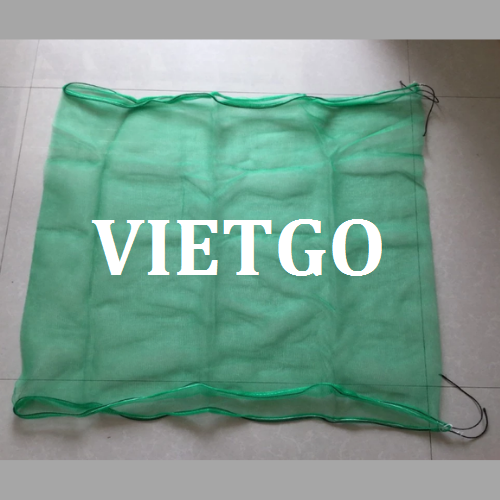 tuivietgo260219