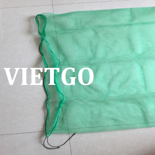tuivietgo260219