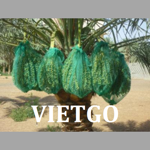 tuivietgo260219