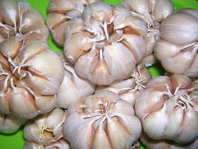 tỏi việt nam xuất khẩu