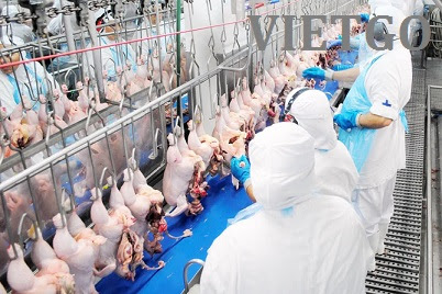 gạo việt nam xuất khẩu