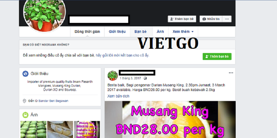 vai-vietgo-julia