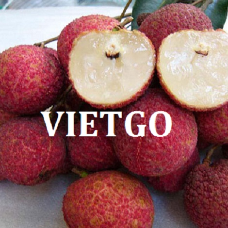 vai-vietgo-julia