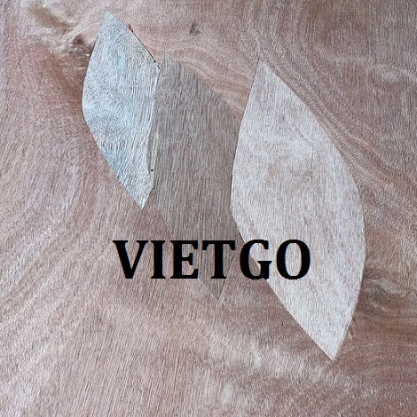van-o-tim-xuat-khau-vietgo