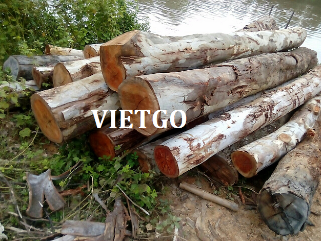 xuat-khau-go-bach-dan-vietgo