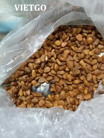 xuất khẩu điều việt nam
