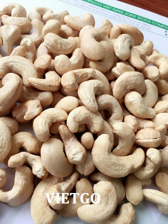 xuất khẩu điều việt nam