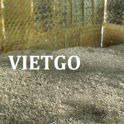 viennen-vietgo-191218-2