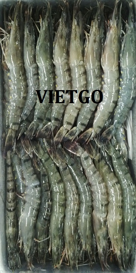 viet-go-tom03