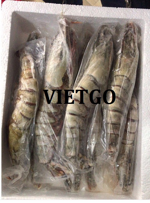 vietgo-tom-su03