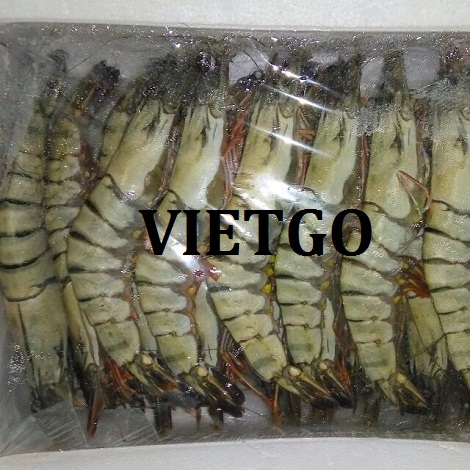 vietgo-tom-su03