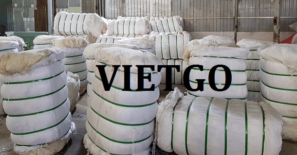 VIETGO-XUAT-KHAU-BONG SOI PHE LIEU DEN AN DO