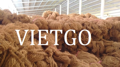 Xơ Dừa Vietgo Xơ Dừa Vietgo