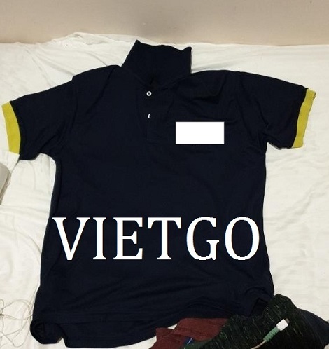  Áo Polo Vietgo