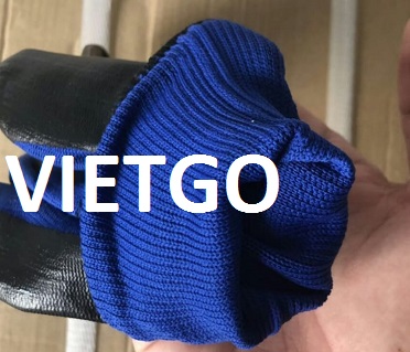 vietgo-xuất-khẩu-găng-tay-Dubai