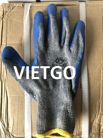 vietgo-xuất-khẩu-găng-tay-Dubai