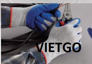Găng Tay Vietgo