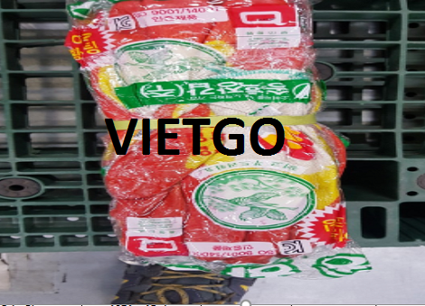 Găng Tay Vietgo Găng Tay Vietgo