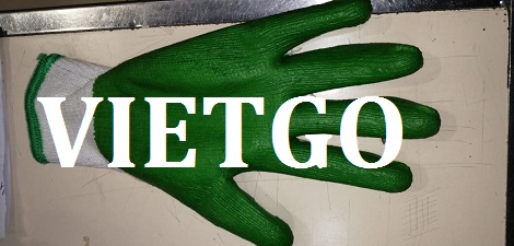 Găng Tay Vietgo Găng Tay Vietgo