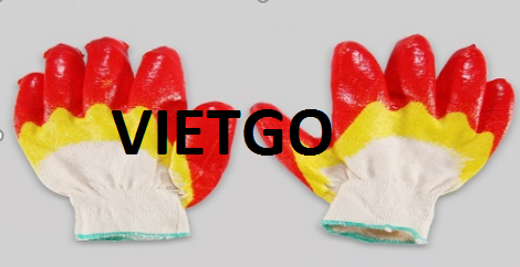 Găng Tay Vietgo Găng Tay Vietgo