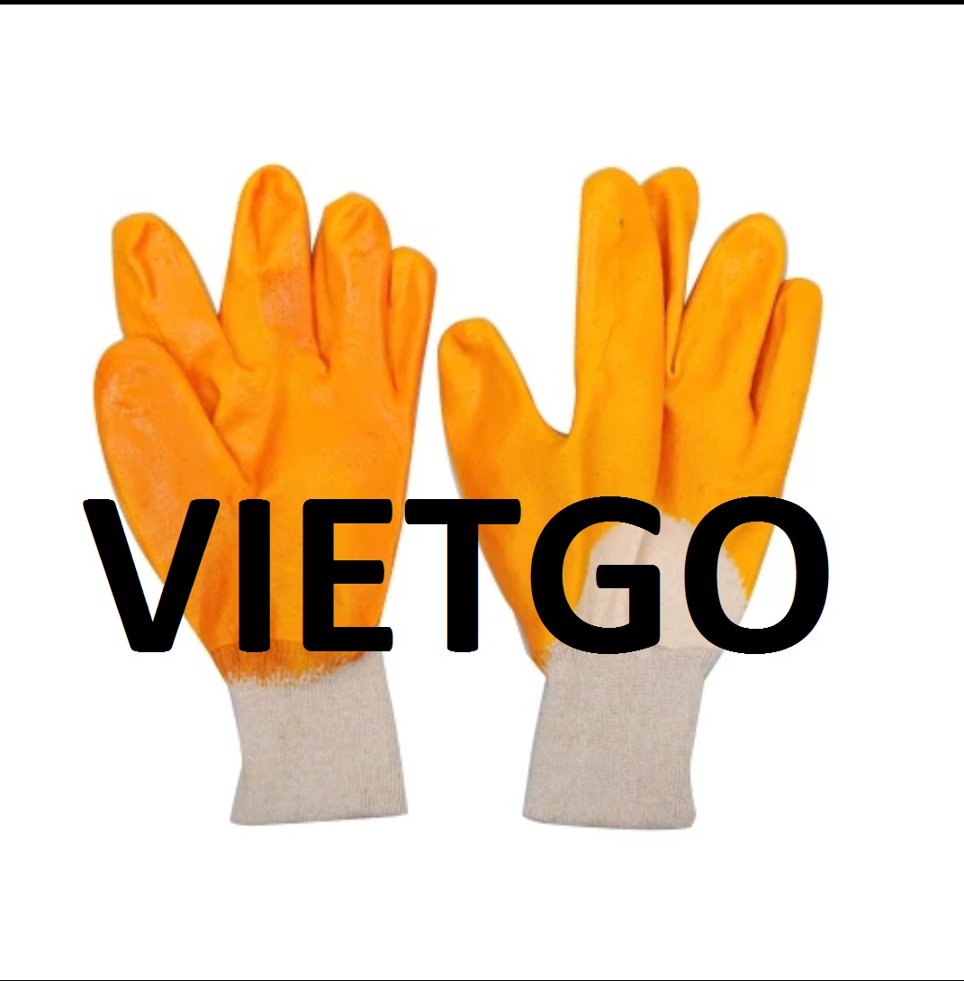 Găng Tay Vietgo