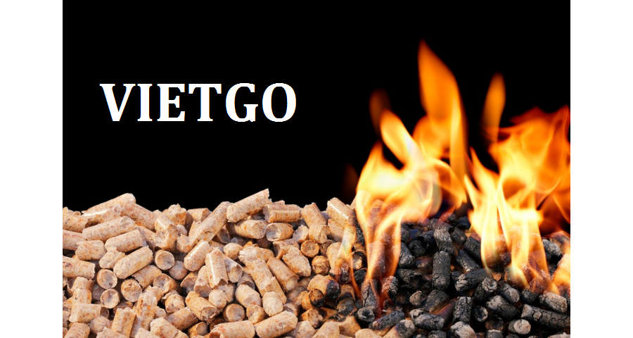vnmc-vietgo-090219