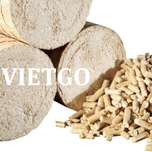 vnmc-vietgo-100119 vnmc-vietgo-100119