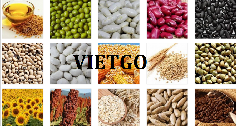 vnmc-vietgo-210119