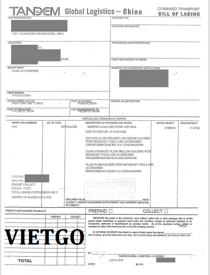 vnmcvietgo010319