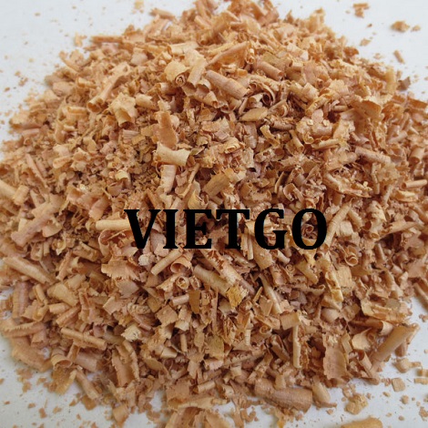 vo-bap-vietgo