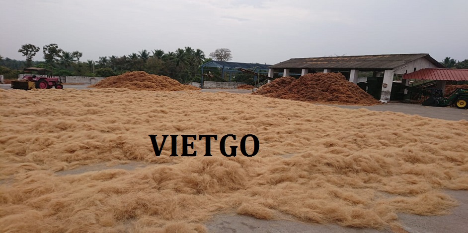 vo-bao-oman-vietgo vo-bao-oman-vietgo