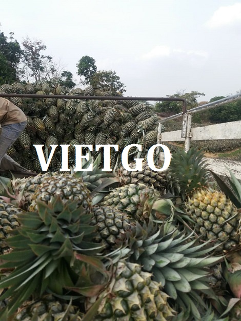 Ớt khô Vietgo