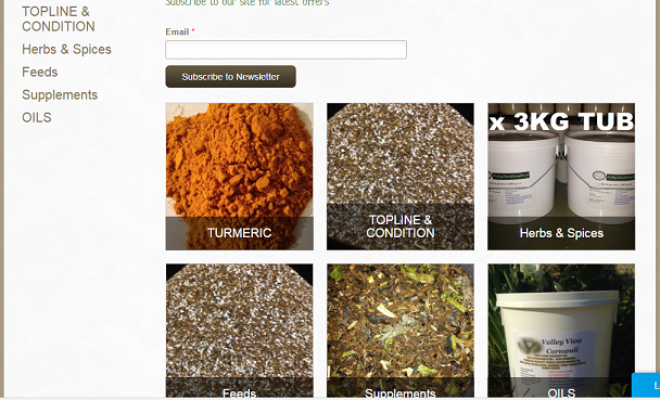 bột nghệ việt nam xuất khẩu