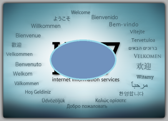 VIETGO-xuat-khau-gỗ-pallet-Israel-Hilal VIETGO-xuat-khau-gỗ-pallet-Israel-Hilal