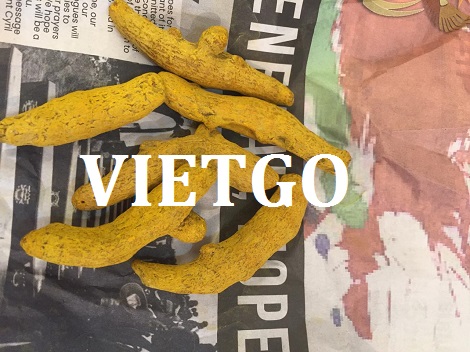 Nghệ Khô Vietgo