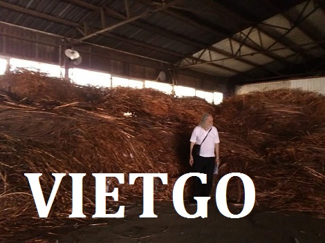 Giấy in khổ A4 Vietgo Giấy in khổ A4 Vietgo