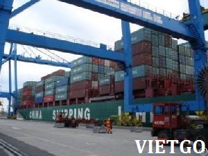 viên nén mùn cưa xuất khẩu