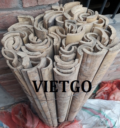 Thanh-Tre-VIETGO Thanh-Tre-VIETGO