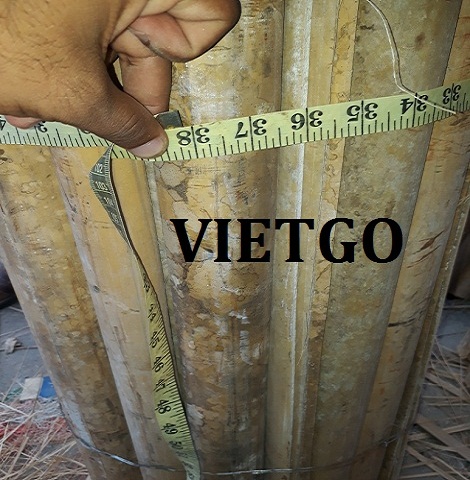 Thanh-Tre-VIETGO Thanh-Tre-VIETGO