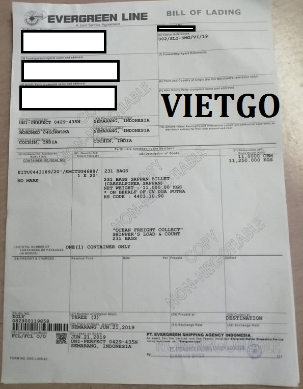 Ca-tra-phi-le-VIETGO