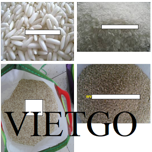 vietgo-xuat-khau-tinh-bot-san-den-An-Do vietgo-xuat-khau-tinh-bot-san-den-An-Do