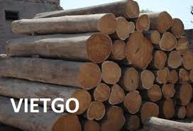VIETGO-goteak-1308