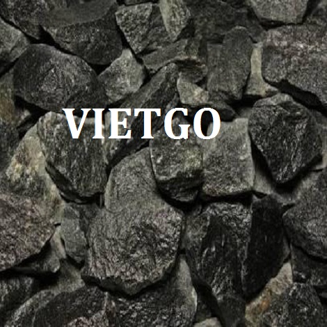 Da-xay-dung-VIETGO