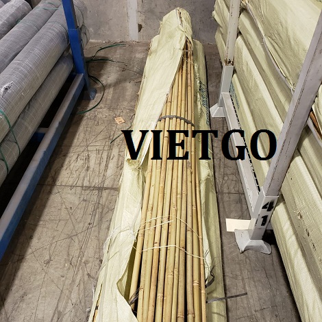 Coc-tre-VIETGO