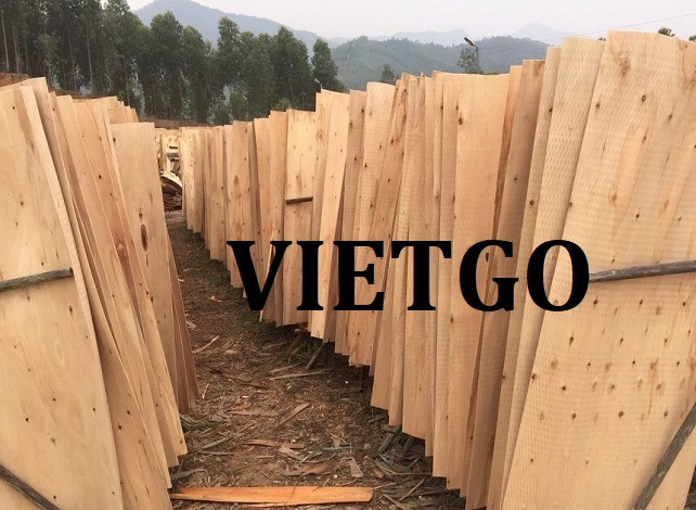 vietgo-vanboc-1508 vietgo-vanboc-1508