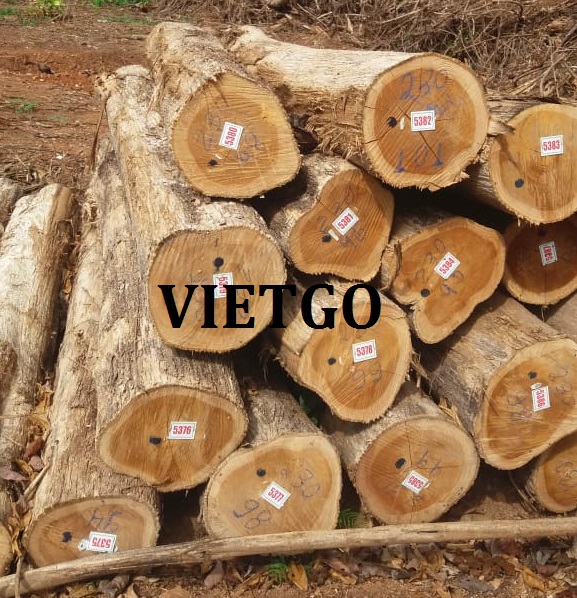 go-thong-xuat-khau-vietgo
