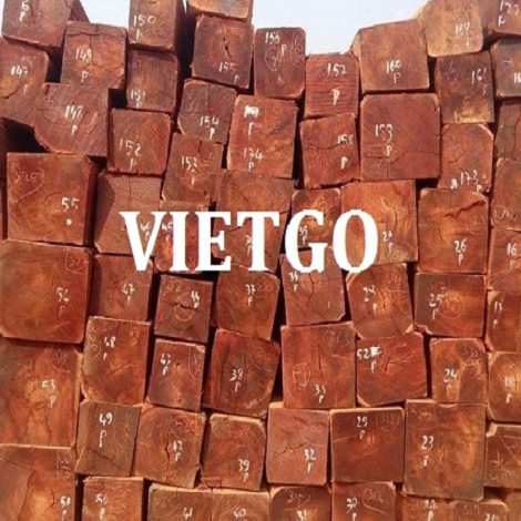 VIETGO-camxexe-1608