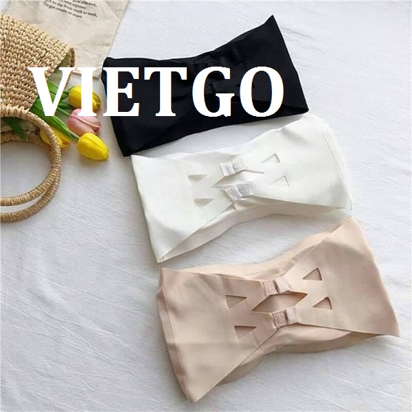 vietgo-xuatkhau-noi-y-sang-An-Do vietgo-xuatkhau-noi-y-sang-An-Do