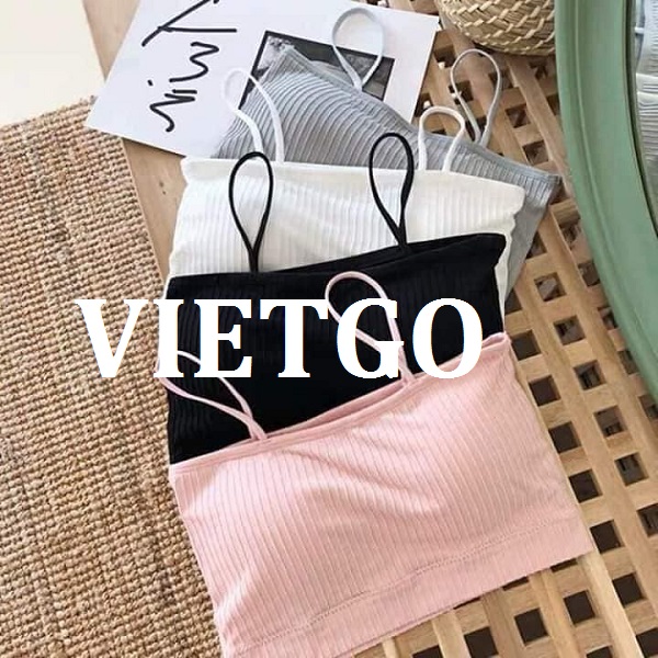 vietgo-xuatkhau-noi-y-sang-An-Do vietgo-xuatkhau-noi-y-sang-An-Do