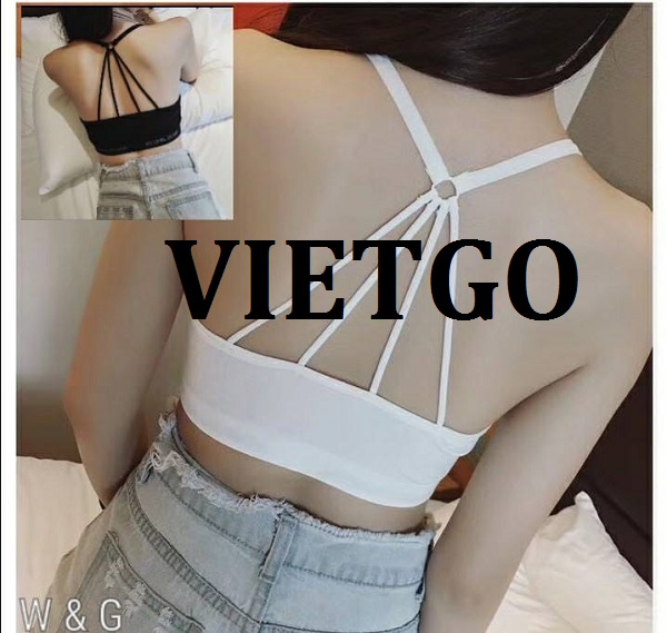 vietgo-xuatkhau-noi-y-sang-An-Do vietgo-xuatkhau-noi-y-sang-An-Do